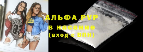 СК Алзамай
