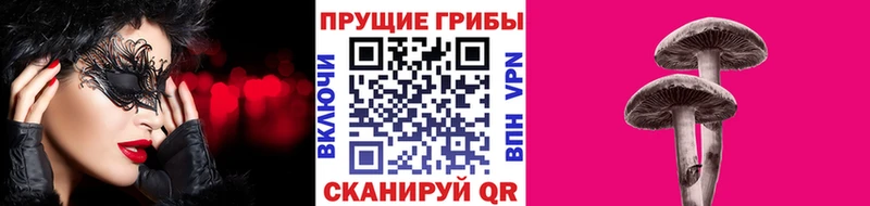 хочу   Павловская  Галлюциногенные грибы Psilocybe 